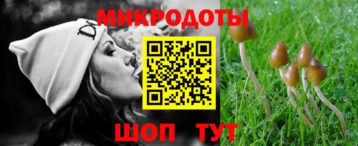Галлюциногенные грибы Psilocybe  Вход с VPN  Галлюциногенные грибы GOLDEN TEACHER  Новотроицк 